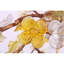 Lustre Araiyah lumière amande clair-560991741-560991740-560991685