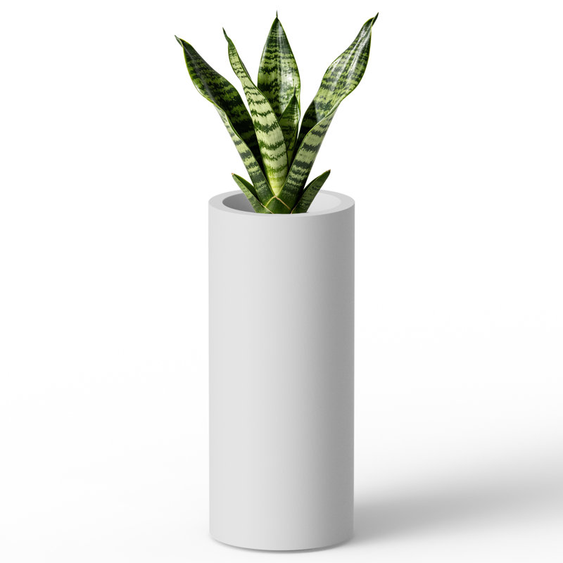 Pot à fleurs en ciment Modern Modern, Blanc brillant, 18.9" H x 8.27" W x 8.27" D