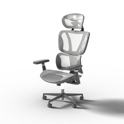 Inbox Zero Adjustable Armrest and Adjustable Height PC & Racing Game Chair
