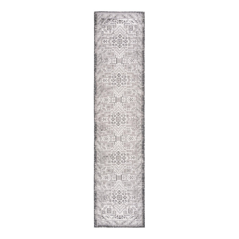 Alucard Indoor / Outdoor Rug, Runner 2'7" x 12'