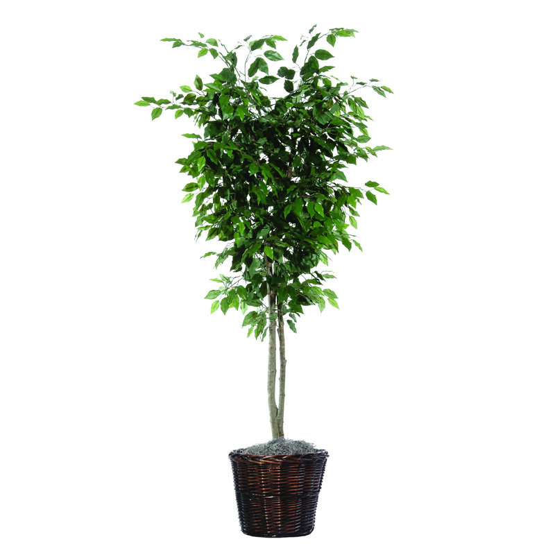 Ficus artificiel en pot de style panier