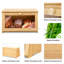 Freemansburg Food Storage Container