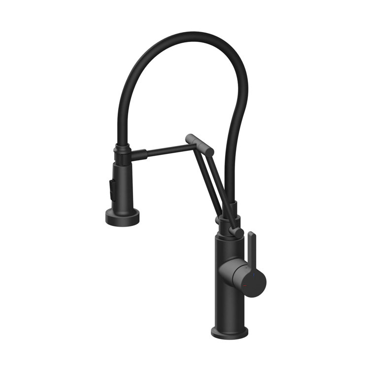 Engel Single Handle Pull Down Kitchen Faucet