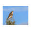 No Frame Print on Canvas-1234137321
