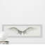 Impression encadrée « wing span »-50107464
