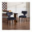 Ensemble de 2 chaises de salle à manger de style Mid-Century moderne, chaises de cuisine rembourrées en tissu chenille de ferme avec structure en bois franc massif, chaises d'appoint ergonomiques pour la salle à manger, gris-23167407