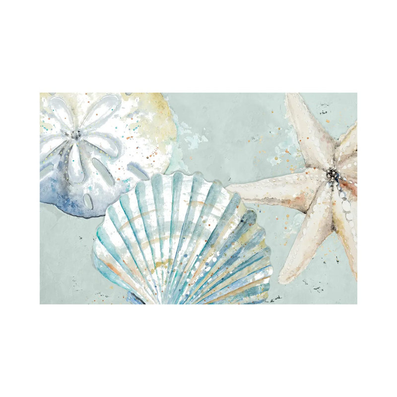 Beach Shells- Gallery-Wrapped Canvas Giclée