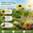 Solar Outdoor Garden Lights LED Stake Waterproof Pathway Light for Yard Patio Landscape Decorations
