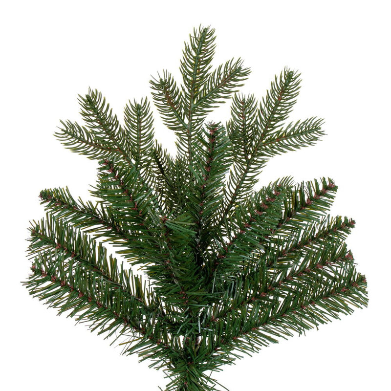 Washington Washington Fir 4499T, 6.5'