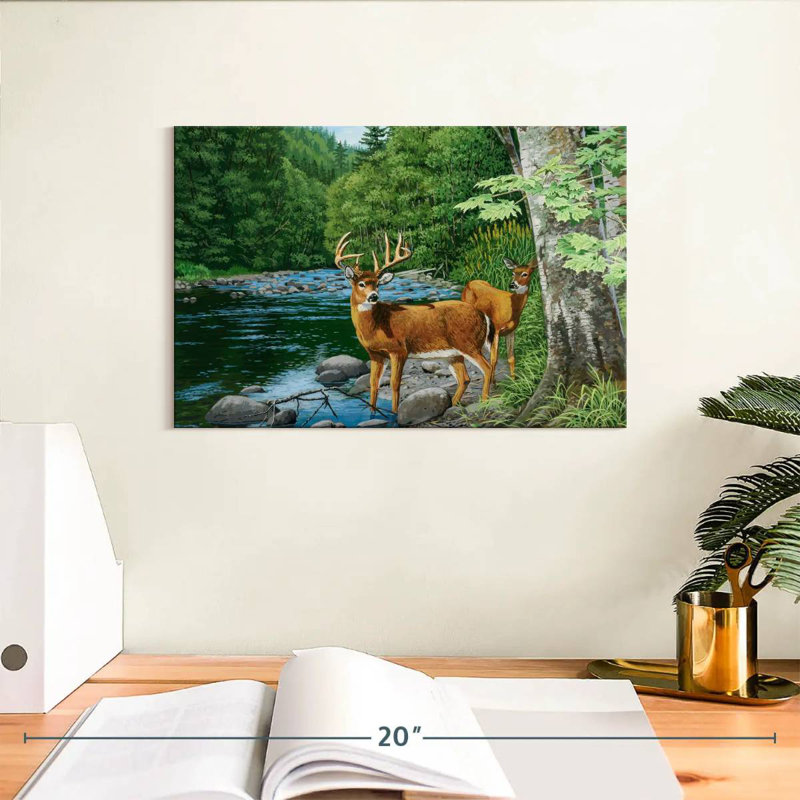 Cerf de Virginie Brampt Streamside, H 8 po x l 12 po