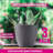 7'' Self Watering Planters For Indoor Plants - With Water Level Indicator For Flower Pot , Grow Tracking Tool - Coco Coir - Grey 3 Pack
