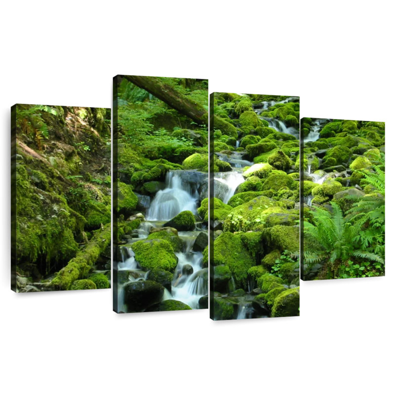 Alvord Stream au parc national olympique, H 22 po x l 36 po