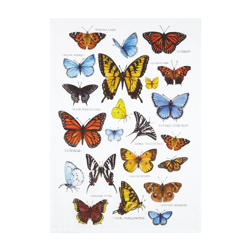 Serviette de cuisine en coton Butterfly Study