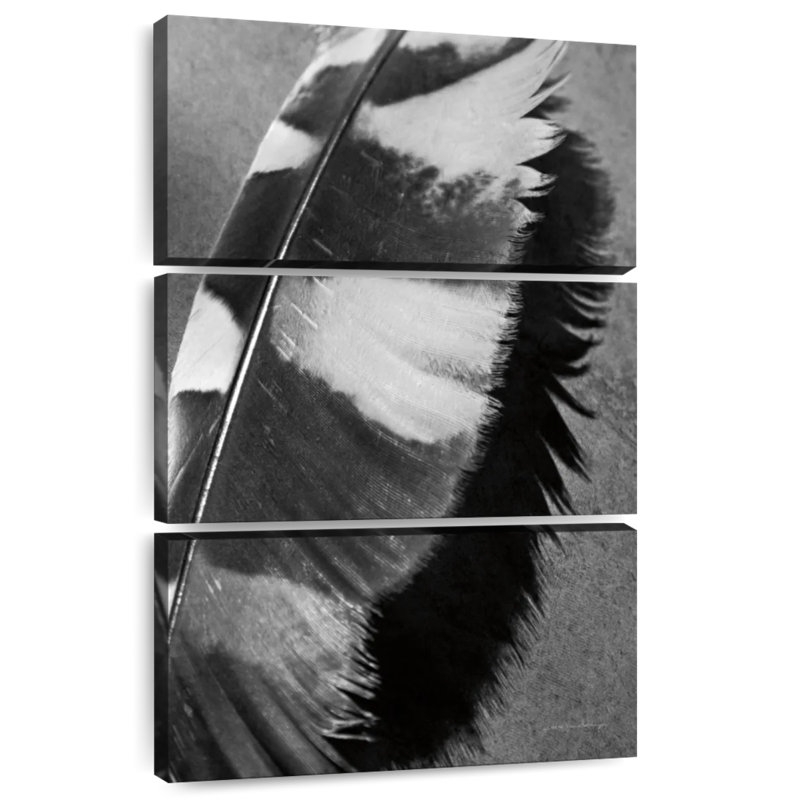 Plume Kerner Shadow II, H 65 po x l 42 po