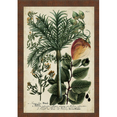« rétro tropicals iii », reproduction d’art encadrée