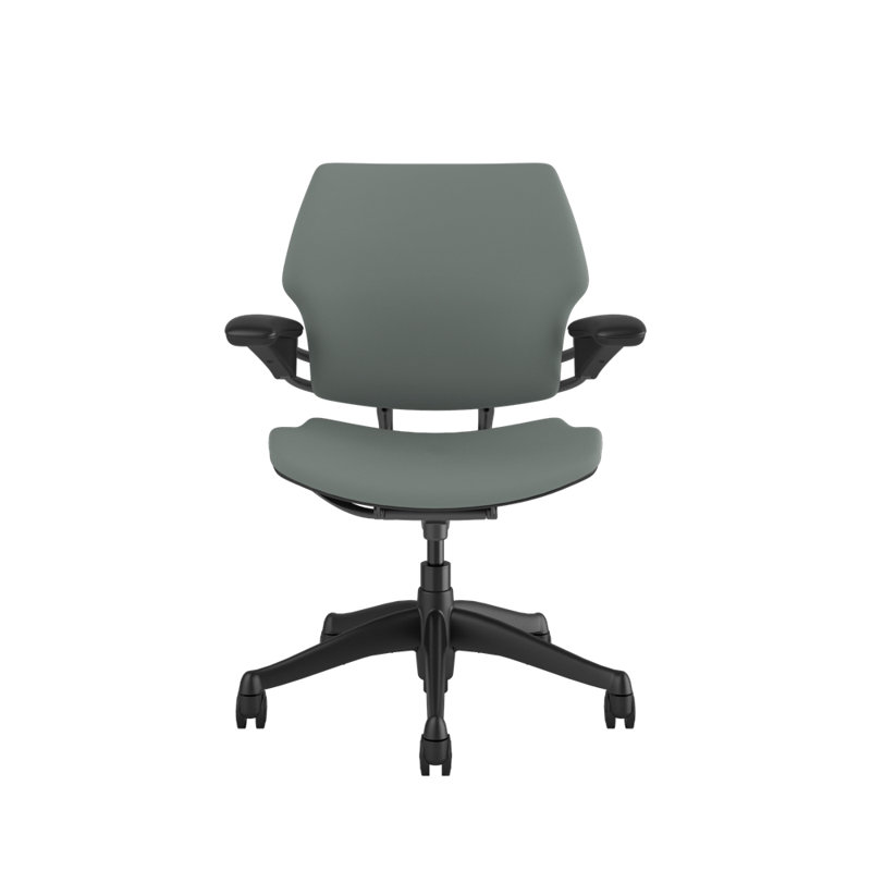 Freedom Ergonomic Task Chair - Lotus, Gray