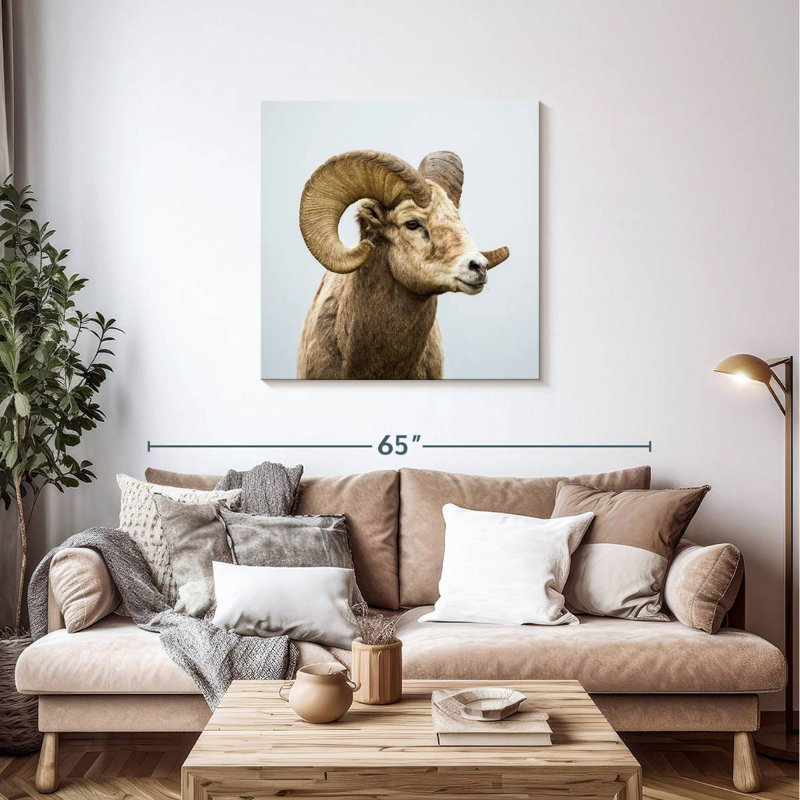 Mouflon solitaire, H 36 po x l 36 po
