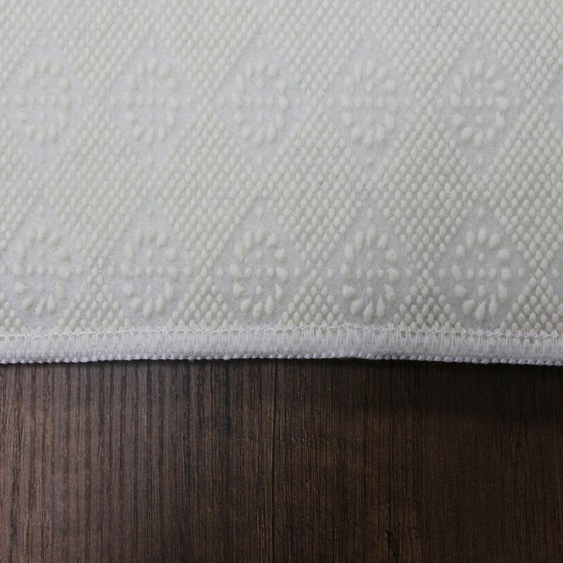 Antibacterial Hall Carpet, 39.4 x 59.1 inches | 100% Polyester, 0.4 in Pile Height, Non-Slip PVC Felt Dot Underside | Machine Washable, 3D Digital Printing, Durable & Stylish for Modern Home Décor