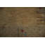 Tapis oriental neutre de style Gabbeh 4 x 6 avec cadre décoratif complexe