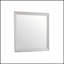 Miroir champagne argenté Glana Furniture Lorana G6500-M-690465243