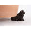 Tenley Weather Resistant Planter Feet