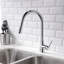 Belfry Kitchen Freelon Pull Out Kitchen Faucet