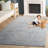 Allegresse Hand Loomed Wool/Cotton Oriental Rug in Blue-781532525