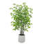 6' Artificial Fishtail Palm Tree in Pot