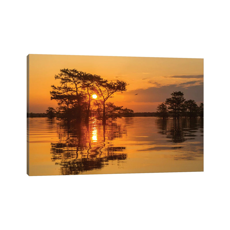 USA, Louisiana, Atchafalaya National Wildlife Refuge. Sunrise On Swamp. by Jaynes Gallery - Wrapped Canvas Print