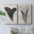 Watercolor Sharks Tooth I-Premium Gallery Wrapped Canvas -Ready to Hang-1638654778