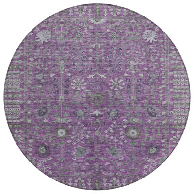 Machine Washable Indoor/Outdoor Derrick ACN2231 Global Rug