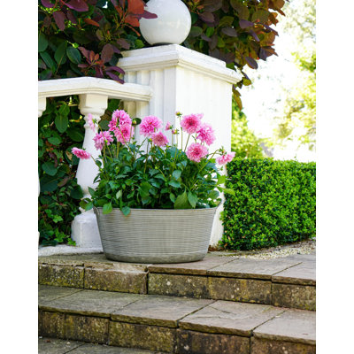 Outdoor Metal Matlock Oval Planter