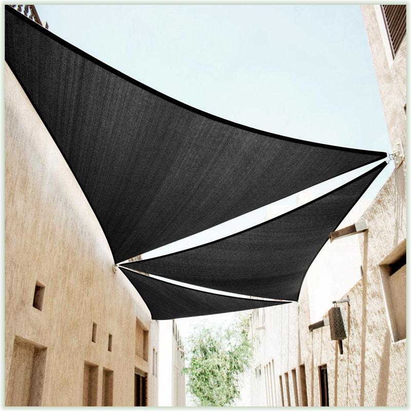 Toile d'ombrage triangulaire 22 ', Noir, 22 pi x 22 pi x 22 pi