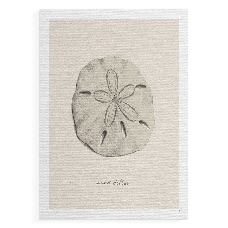 Shore Treasure Study III - Impression sur toile seulement - NON-CADRE, H 36 po x l 24 po
