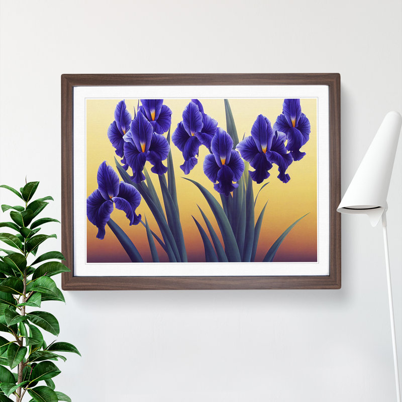 Excellent Iris Flowers - Framed Print, 46cm H x 64cm W x 2cm D, Walnut