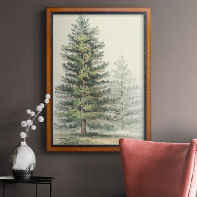" Majestic Pine I " Painting Print