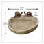 Bain d'oiseaux escargot