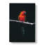 Perched Parrot In Abstract - Wrapped Canvas-55340162