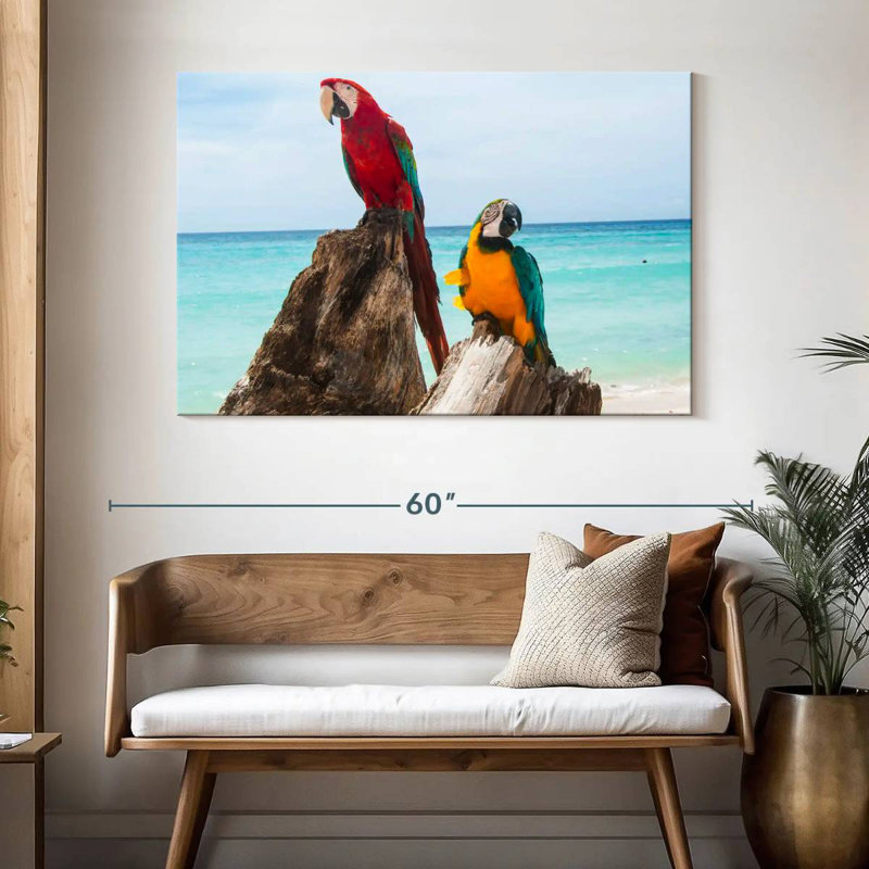 Brampt Resting Macaws