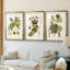 Feuilles antiques I - Impression sur mesure encadrée de qualité supérieure - 3 pièces-2126529240-2126529241