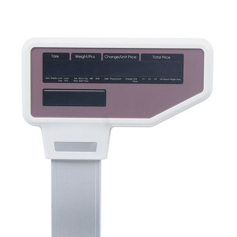 weight height bmi electronic digital bench