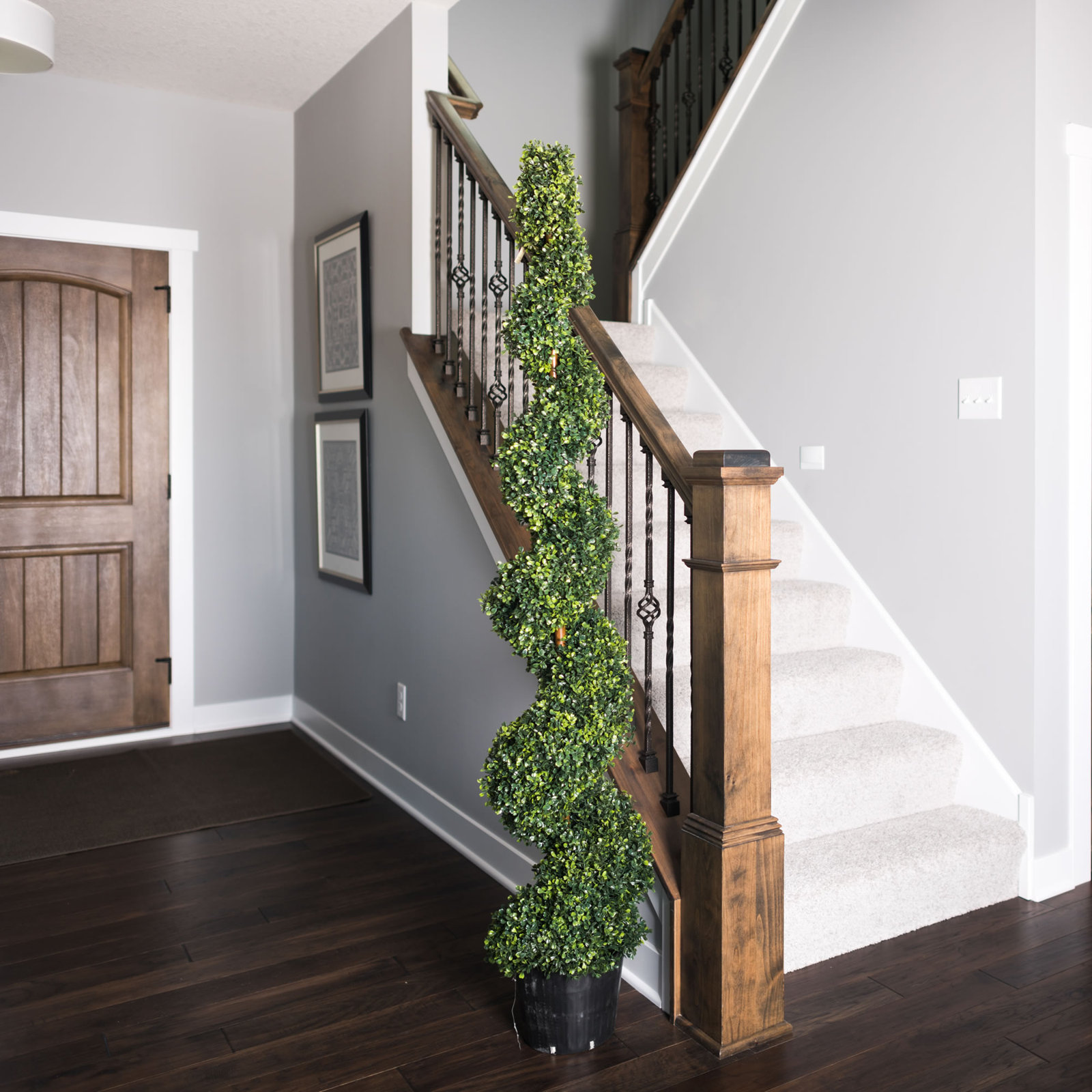 Boxwood Topiary in Pot, 72" H x 13" W x 13"D