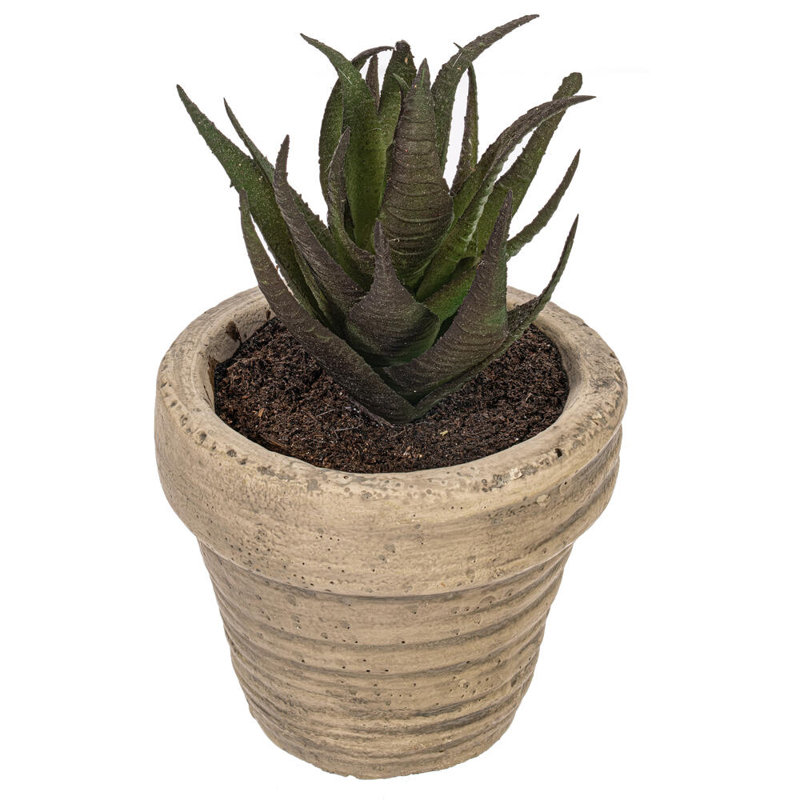 4'' Faux Succulent in Ceramic Pot