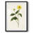 Clio -Gallery Wrapped Canvas