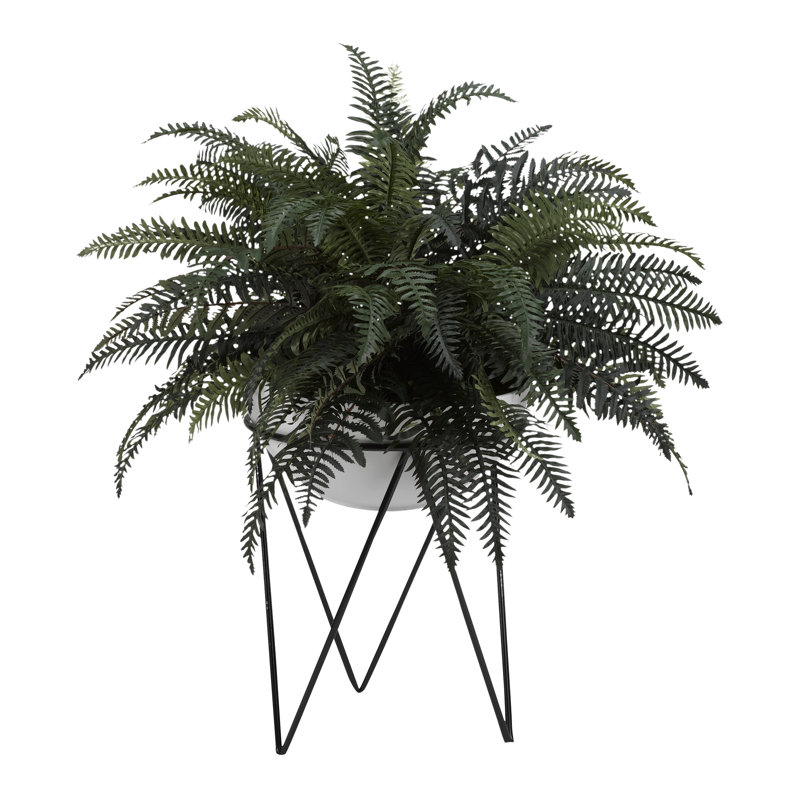 Plante pour fleuve river