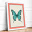 Symmetrical Butterfly Study Botanical - Framed Print-30129589-30129586