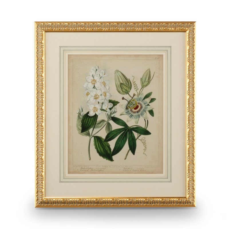 Cottage Florals II Print
