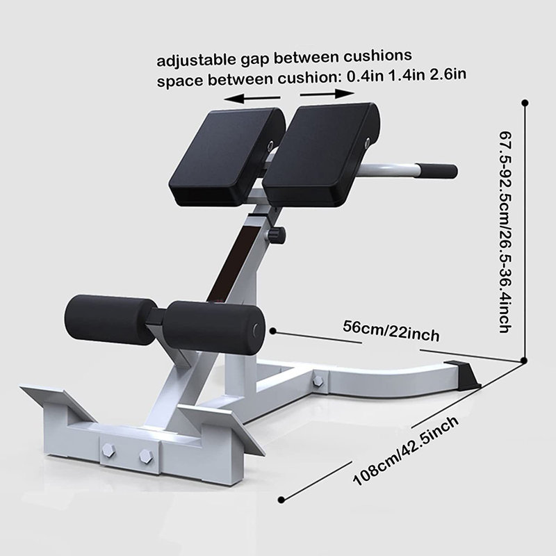Adjustable Roman Chair Back Extension Bench