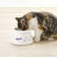 Bol à chat surélevé-85011248-85011247