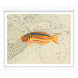 Vibrant Fish 4 Giclee Print by Soicher Marin Archives